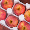 预售【功夫苹果】等了六年才能吃到的苹果！果香四溢，爆甜爽脆！对标日本青森苹果种植！品味高端美味水果，生活就要与众不同！丁苹果 商品缩略图8