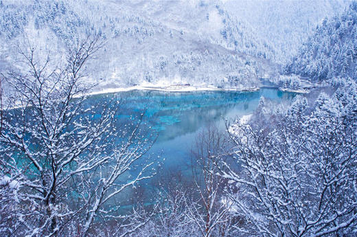 ★1月10日【颂•雪 四川】毕棚沟•达古冰川•九寨沟、黄龙冰雪世界7日摄影【1109直播】 商品图2