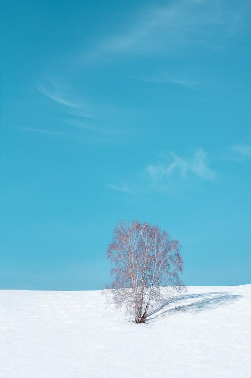 ★12月23日【颂•雪 北疆】五彩湾古海温泉、世界魔鬼城、冰雪喀纳斯、禾木、白哈巴雾凇【越野车】9天【1109直播】 商品图7