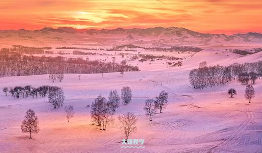 特惠1.11确定出发【颂•雪 坝上】冬季雪魅全景坝上6天摄影 商品图4