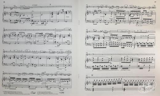 【中商原版】亨乐原版 布鲁赫g小调小提琴协奏曲op26 Bruch Violinkonzert g-moll op.26 KA 小提琴和钢琴 HN708 进口艺术 商品图6
