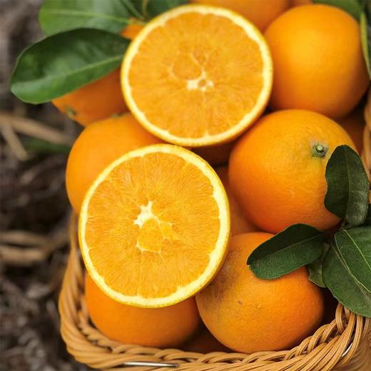2025江西赣南脐橙 当季时令新鲜应季水果 产地直供 商品图2