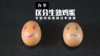 Lv.16 第3节课【区分生熟鸡蛋】（实验视频） 商品缩略图0