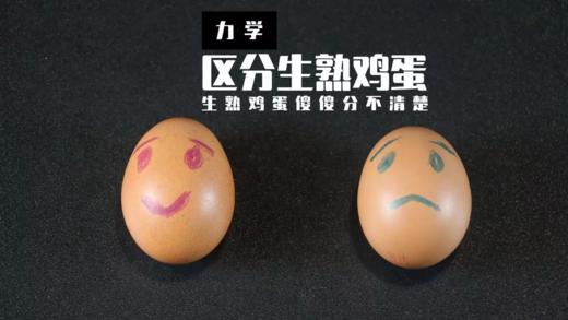 Lv.16 第3节课【区分生熟鸡蛋】（实验视频） 商品图0