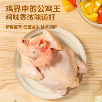 温氏供港农养大公鸡2.8斤 100天莫氏鸡煲同款食材 冷冻食品 走地鸡 商品图1