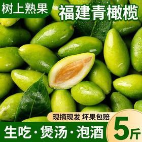 【肉脆多汁 甘甜无渣！福建青橄榄】生吃，煲汤，泡酒，新鲜青橄榄果当季水果正新果宗福州产地直发生吃回甘煲汤整箱-觅食坊