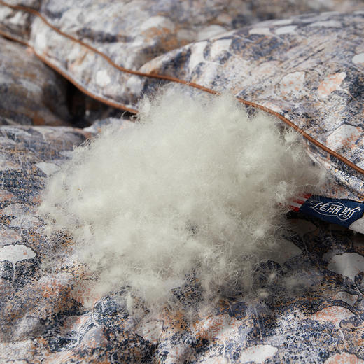 佳丽斯羽绒被95白鹅绒冬被芯加厚保暖抑菌匹马棉鹅绒被子 商品图6