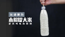 Lv.7 第5节课【木棍提大米】（精选原理作业）