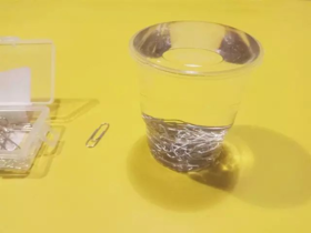 Lv.1 第6节课【高出杯沿的水】（实验视频）