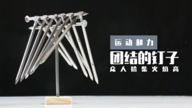 Lv.13 第2节课【团结的钉子】（精选原理作业）