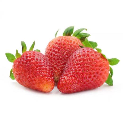 【酸甜口感！新鲜奶油草莓】奶香味浓郁，现摘草莓商用新鲜水果应季水果蛋糕糖葫芦奶茶冷饮整箱包邮-觅食坊 商品图3