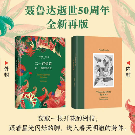 二十首情诗和一首绝望的歌 巴勃罗 聂鲁达 著 文学 商品图1