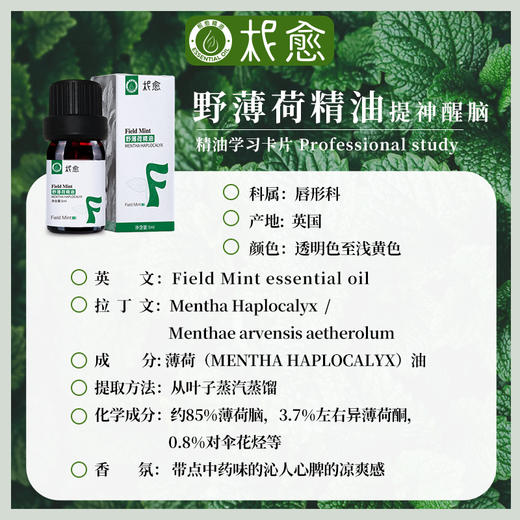 【柅愈】野薄荷纯精油5ml 英国原产薄荷精油 单方纯精油 扩香/熏香/调油 商品图3