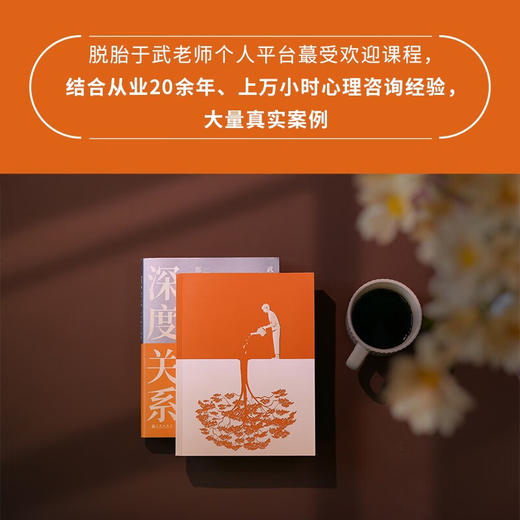深度关系 武志红 著 心理学 商品图2