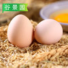 【会员专享】优选鲜鸡蛋 3.5斤/板 商品缩略图3