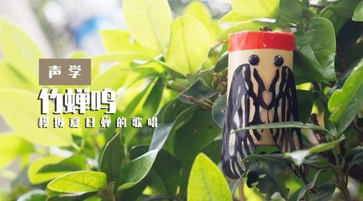 Lv.3 第1节课【竹蝉鸣】（精选原理作业） 商品图0