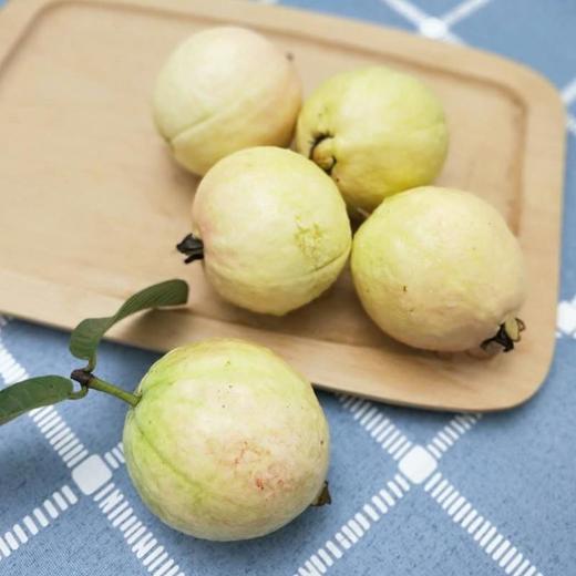 送酸梅粉【冰激凌口感！软心牛奶芭乐】轻咬一口，奶油细腻，送礼自用皆相宜，口感醇厚。源自广东软糯白心芭乐5斤新鲜水果番石榴胭脂红软心奶油巴乐整箱包邮-觅食坊 商品图2