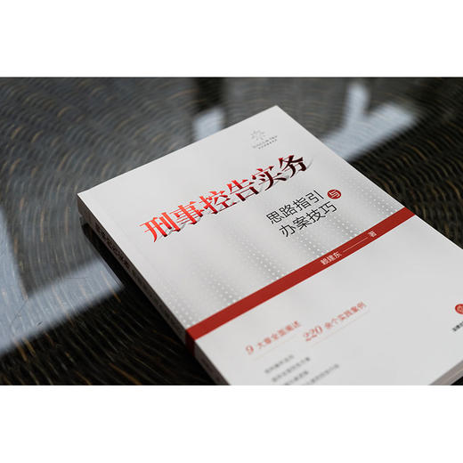 刑事控告实务：思路指引与办案技巧  赖建东著 商品图2