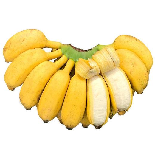 【香甜软糯！9斤超值广西米蕉】皮薄肉厚新鲜小米蕉水果包邮小香芭蕉苹果蕉自然熟当季整箱 商品图4