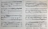 【中商原版】Sarasate Gypsy Airs for Violin and Piano 进口艺术 萨拉萨蒂 吉普赛之歌 流浪者之歌 小提琴和钢琴 商品缩略图5