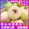 送酸梅粉【冰激凌口感！软心牛奶芭乐】轻咬一口，奶油细腻，送礼自用皆相宜，口感醇厚。源自广东软糯白心芭乐5斤新鲜水果番石榴胭脂红软心奶油巴乐整箱包邮-觅食坊 商品缩略图1