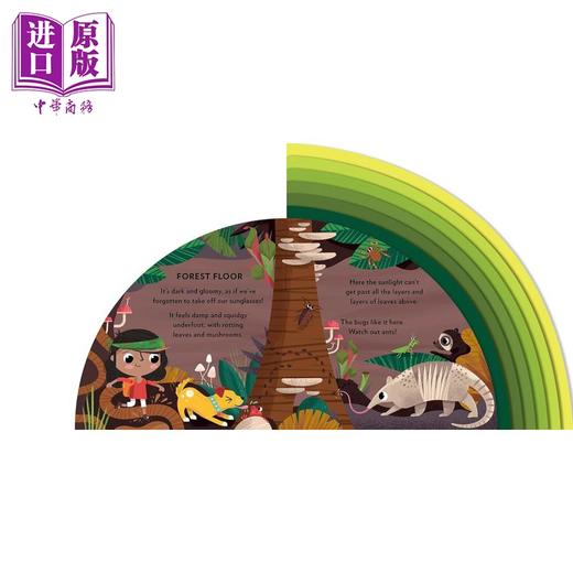 【中商原版】Explore the Rainforest 探索雨林 英文原版进口图书 纸板书 低幼儿童绘本 知识科普图画书 商品图3