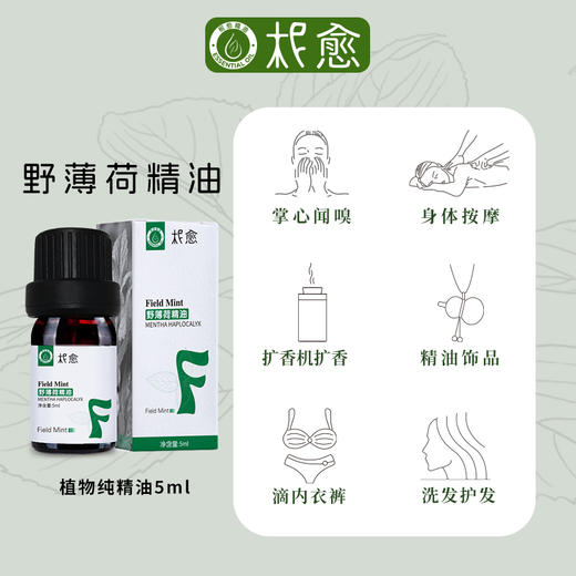 【柅愈】野薄荷纯精油5ml 英国原产薄荷精油 单方纯精油 扩香/熏香/调油 商品图2