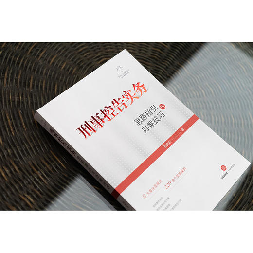 刑事控告实务：思路指引与办案技巧  赖建东著 商品图1