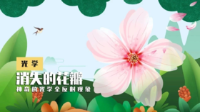 Lv.11 第2节课【消失的花瓣】（精选原理作业）