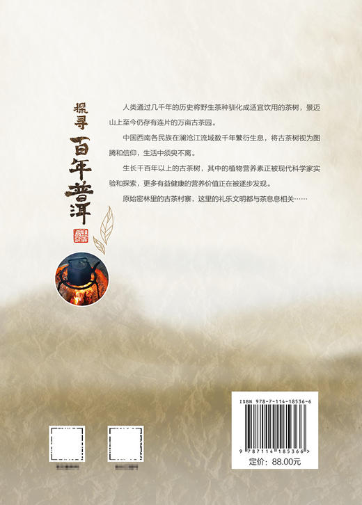 探寻百年普洱——走进原始森林里的古茶山 商品图1