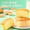 【限时一口价19.9元】云朵牛奶蛋糕 480gx1箱 商品缩略图4