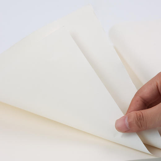 【庆学堂】加厚夹宣  生宣/半生熟  书画专用宣纸   四尺对开/四尺 商品图3