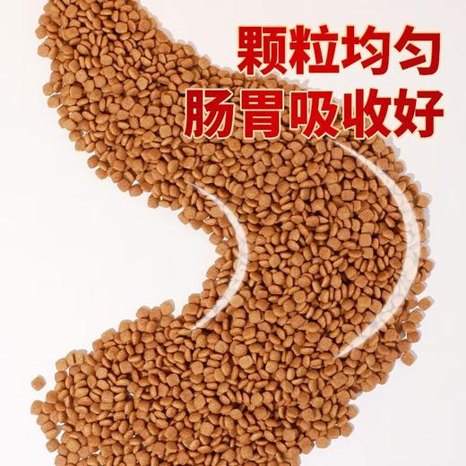 麦斯蒂狗粮鲜肉蔬菜多拼粮增肥发腮均衡营养全期犬粮500g/袋 商品图3