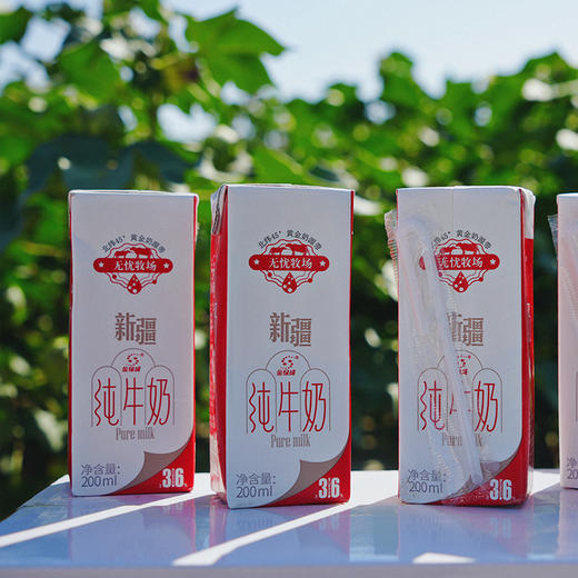 新疆无忧牧场3.6g蛋白纯牛奶 | 活动到手4箱 商品图2