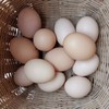 刨刨鸡鸡蛋（竹林大散养蛋） 商品缩略图0