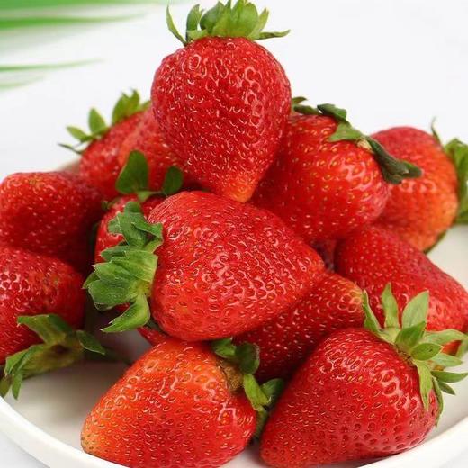 【酸甜口感！新鲜奶油草莓】奶香味浓郁，现摘草莓商用新鲜水果应季水果蛋糕糖葫芦奶茶冷饮整箱包邮-觅食坊 商品图0