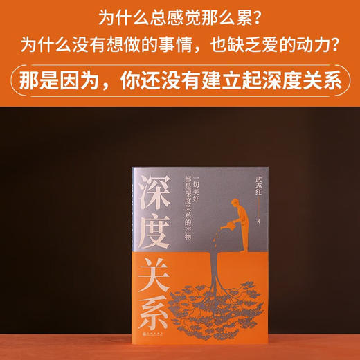 深度关系 武志红 著 心理学 商品图0
