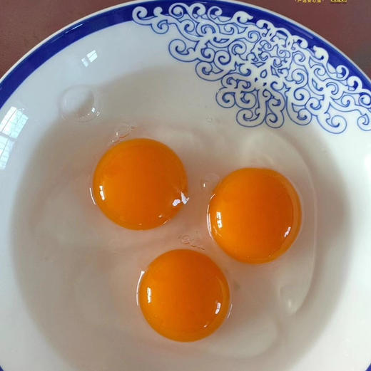 晋龙可生食鸡蛋 基地直发 顺丰包邮 商品图6