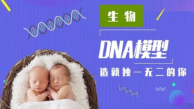 Lv.33 第1节课【DNA模型】（精选原理作业）