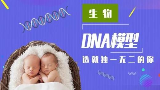 Lv.33 第1节课【DNA模型】（实验视频） 商品图0