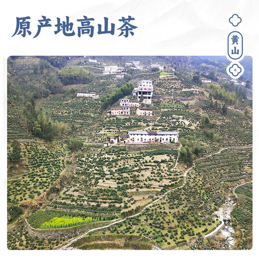 徽汇 黄山毛峰礼盒特级绿茶（茶叶伴手礼）150g 新老包装随机发货 汤色嫩绿 清澈鲜亮 馥郁持久 48小时发货 商品图2
