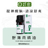 【柅愈】野薄荷纯精油5ml 英国原产薄荷精油 单方纯精油 扩香/熏香/调油 商品缩略图0