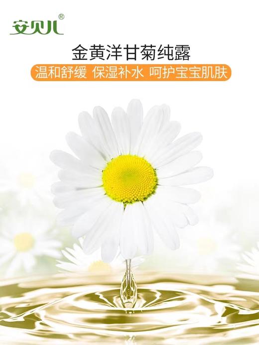 安贝儿婴儿洋甘菊洗发沐浴露300ml 商品图2