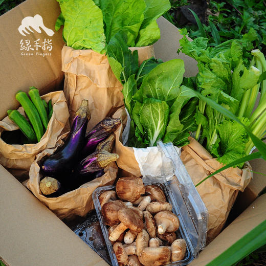 生态菇菜膳食箱（一件包邮） | 绿家自产*Ecological  vegetables | Self-production 商品图2