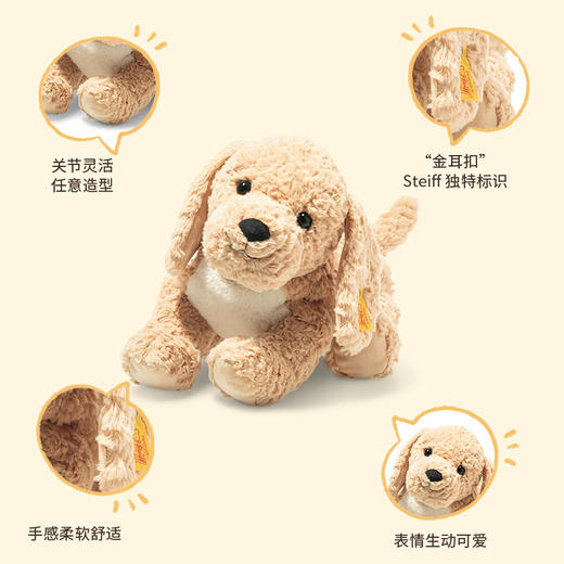 Steiff/史黛芙 伯尔尼黄金贵宾犬米色 26cm 商品图2