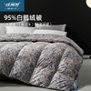 佳丽斯羽绒被95白鹅绒冬被芯加厚保暖抑菌匹马棉鹅绒被子 商品缩略图0