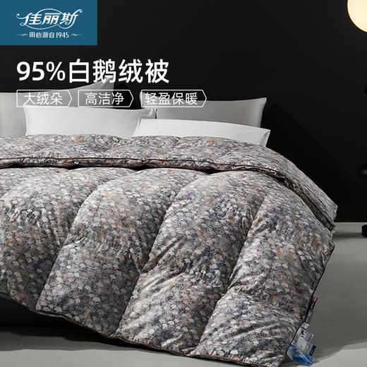 佳丽斯羽绒被95白鹅绒冬被芯加厚保暖抑菌匹马棉鹅绒被子 商品图0