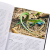 【中商原版】世界蜥蜴 蜥蜴百科图鉴指南 图文详解 Lizards of the World 英文原版 蜥蜴科普 Mark O Shea 商品缩略图2