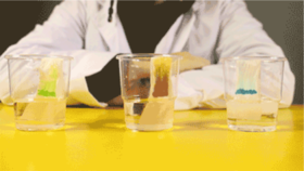 Lv.2 第6节课【调皮的颜色】（精选原理作业）