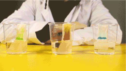 Lv.2 第6节课【调皮的颜色】（精选原理作业） 商品图0